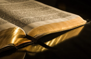 Qual a diferença entre as traduções da biblia sagrada e qual escolher para o seu momento?